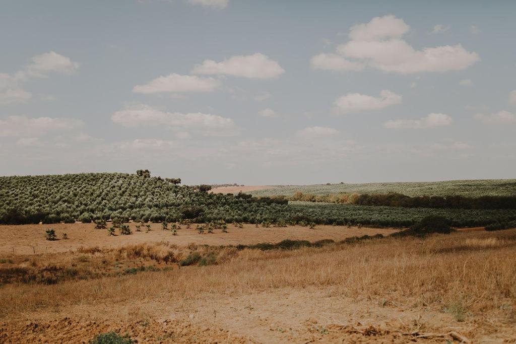 Monte Do Ramalho Villa Aviz Ngoại thất bức ảnh